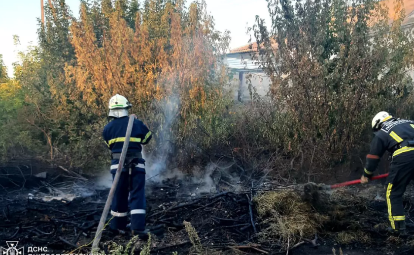 Пожежі в екосистемах несуть загрозу людям: у Підгородненській громаді через загоряння сухої рослинності постраждала жінка